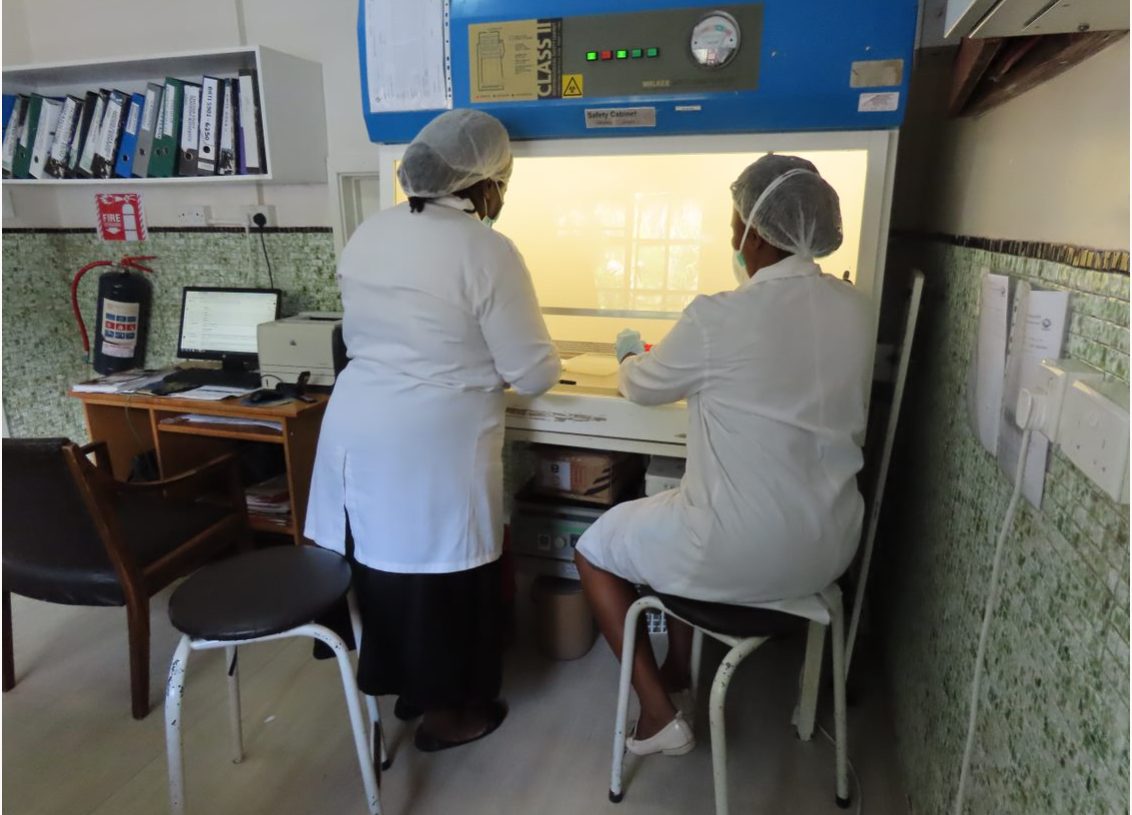 BRTI laboratory scientists working at a biosafety cabinet